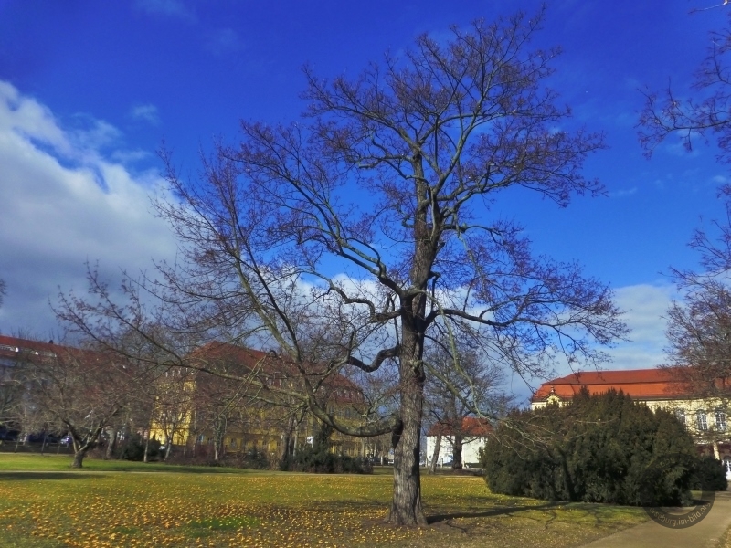 Schlossgarten in Merseburg