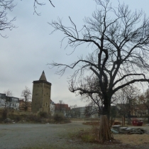 Eulenturm in Merseburg